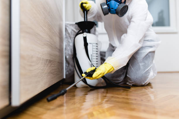 Best Termite Control Services  in Long Creek, IL