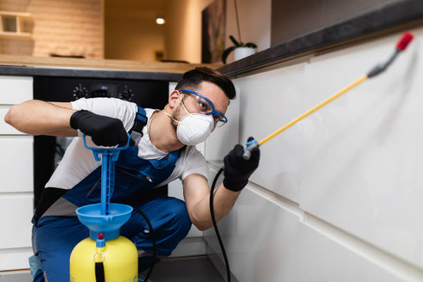 Best Best Pest Control Companies  in Long Creek, IL
