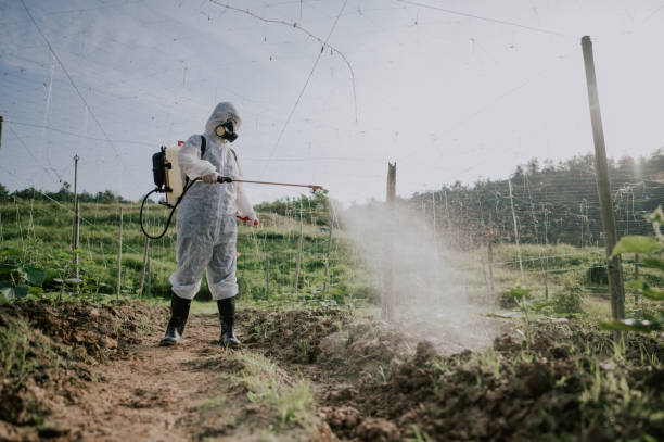 Best Pest Removal Services  in Long Creek, IL