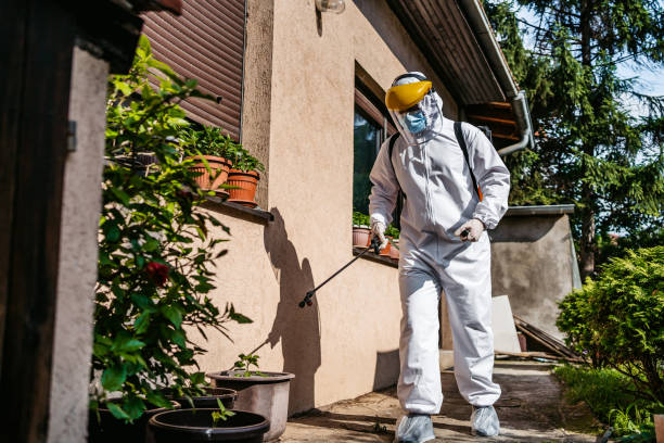 Best Residential Pest Control  in Long Creek, IL