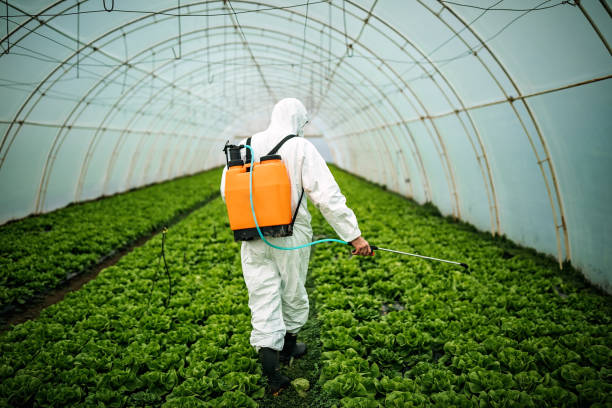 Best Pest Control Near Me  in Long Creek, IL