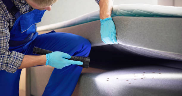 Best Affordable Pest Control Services  in Long Creek, IL