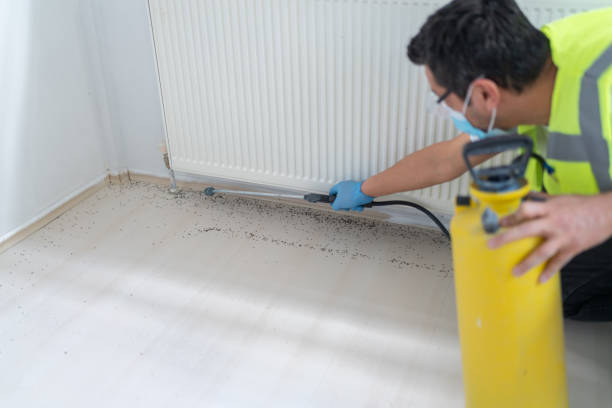 Trusted Long Creek, IL Pest Control Experts