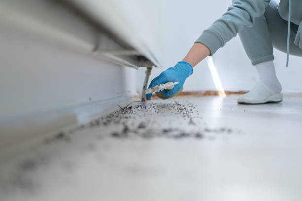Best Pest Inspection Near Me  in Long Creek, IL