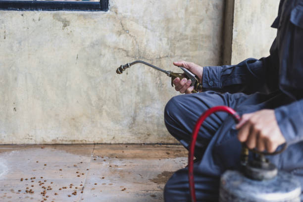 Best Wasp Removal Services  in Long Creek, IL