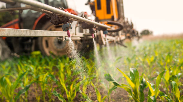 Pest Prevention Services in Long Creek, IL